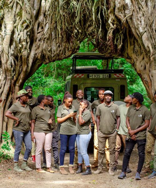 kimgoni-tanzania-safaris (2)