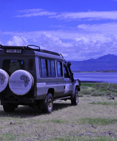 kimgoni-tanzania-safaris (5)