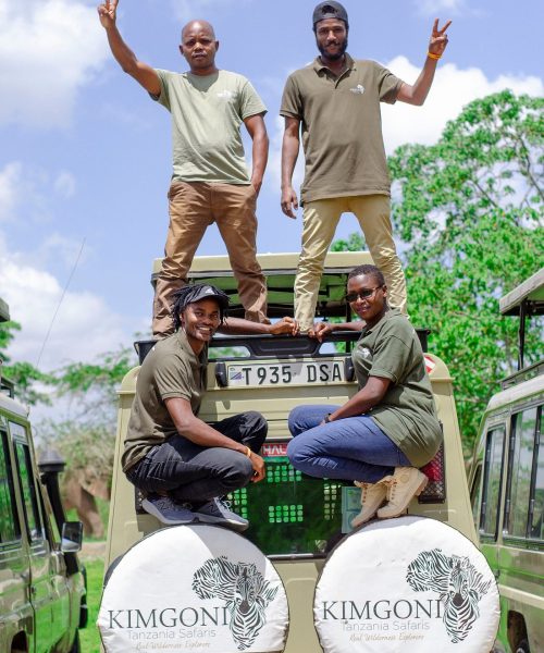 kimgoni-tanzania-safaris